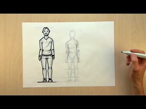 Verhoudingen van het Vrouwelijk Lichaam