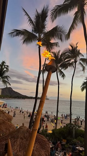 Instagram video by Eden ben zaken • Jan 22, 2025 at 7:52 AM