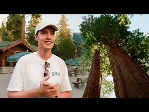 Dit zijn de GROOTSTE BOMEN TER WERELD!