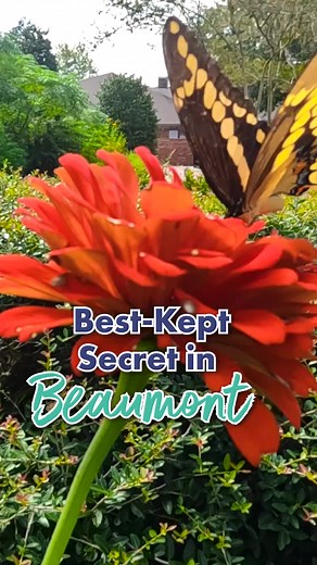 Explore Beaumont, Texas: Adventures Await in the Wetlands and Botanic Gardens!
