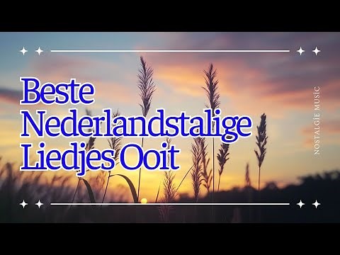 Beste Nederlandstalige Liedjes Ooit 🎵 Top 100 Nederlandse Muziek 🎵 Nederlandse Muziek