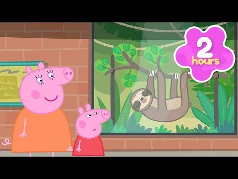 Peppa Spies on a SLOTH 🦥 Peppa Pig Full Episodes | 2 Hours of Kids Cartoons