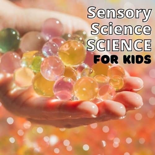 Sensory Science Activities for Preschool | 25  Experiments