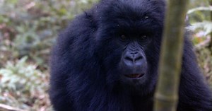 What's ahead this season on 60 Minutes