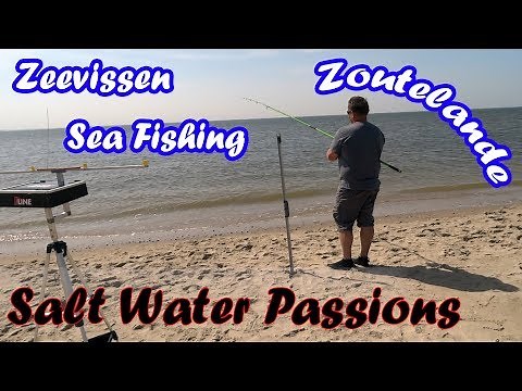 Seafishing - Surfcasting from the beach 2019 - Zoutelande - Salt Water Passions