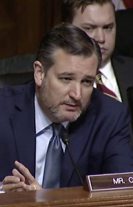 Sen. Cruz Participates in Senate Judiciary Committee Hearing on Oversight of U.S. Customs and Border Protection | Senator Ted Cruz